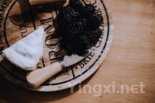 探索葡萄酒的奥秘:这些书籍值得一读