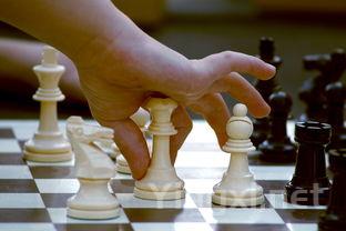 醉意中的真我：你是哪类饮酒者？