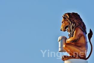 葡萄酒之魂：风土与风味的交融之美