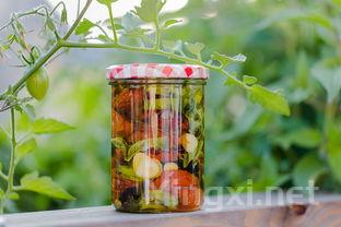 温度如何影响白酒品鉴体验与风味