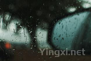 闻出青椒味的葡萄酒,究竟是次品还是味觉偏差?