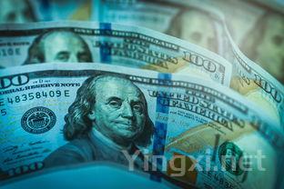 葡萄酒术语探讨：“缺量”背后有何奥秘