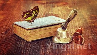 葡萄酒的“正副牌”之分究竟有何渊源