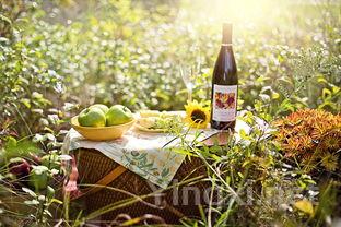 夏日炎炎,白葡萄酒为何成为消暑佳饮?