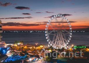 纳帕谷葡萄酒之旅：探索16大AVA子产区魅力