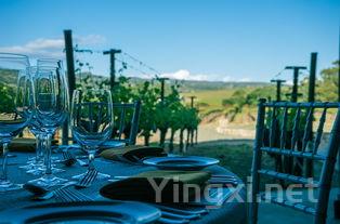 醇美之旅：体验智利卡萨布兰卡谷的葡萄酒魅力