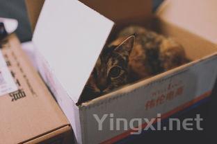 实用指南：红酒渍如何彻底清洁