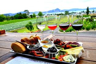 新西兰葡萄酒探秘：马尔堡产区引领风味之旅