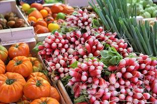 轻松入门新西兰葡萄酒：品鉴技巧与选择指南