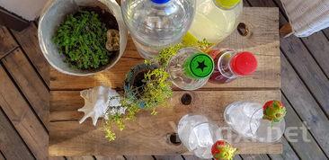 夏日畅饮葡萄牙绿酒，尽享完美人生时光！