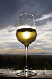 夏日葡萄酒秘籍：揭秘不为人知的30个冷知识