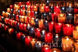 雪利酒品鉴宝典:强酒品种一网打尽