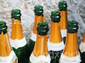 雪利强酒全攻略：品味与选择的艺术