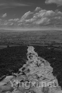 罗第丘：罗讷河谷之冠，满分酒香飘世界