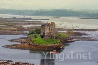 新西兰葡萄酒之旅:探访十大优质产区