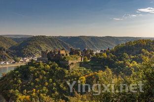 探寻新西兰葡萄酒之魅力:十大产区概览