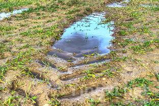 圣·洛伦佐酒庄：天赋异禀，酿造传奇佳酿