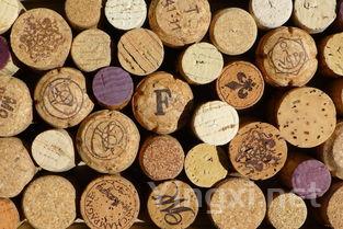 中国市场对葡萄牙葡萄酒需求激增，进口量连续两年翻倍