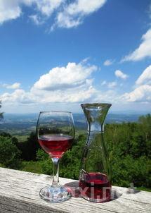 绿色革命席卷酒界，意大利有机葡萄酒崛起