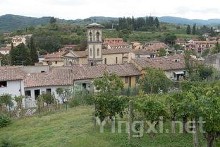 2020年葡萄酒市场瞩目焦点：布鲁奈罗法定产区新机遇