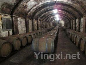 掌握选酒四字真言，好酒随手可得