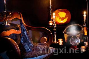 探秘酒瓶酒标背后的秘密，选酒更从容