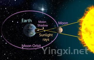 从入门到精通：葡萄酒术语大全一网打尽
