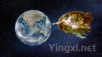 莫斯卡托葡萄酒探秘：九大必知要点