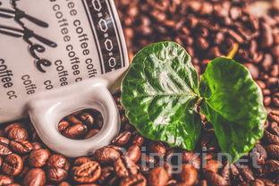 别再被误导了！正确看待葡萄酒真相