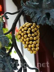 探寻葡萄至美酒的奇妙转变：酿酒的秘密艺术