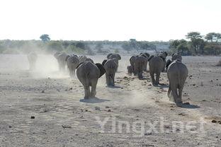 勃艮第：风土独特，无可复制的美酒故乡