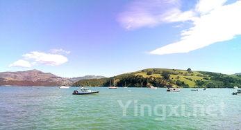 里奥哈之巅：皇后庄园的葡萄酒传奇