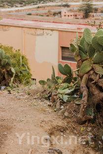 全国葡萄酒交易新引擎：温州集散中心崛起记