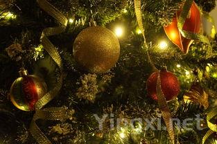 Rapaura Springs：年度长相思酒品冠军之选