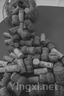 老藤葡萄酒，好酒无疑？深度解读