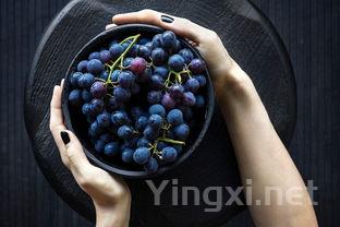 葡萄酒与美食的绝妙邂逅