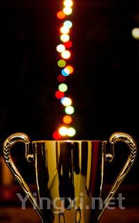 葡萄酒酵母基因秘密揭晓：新研究成果公布