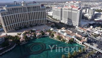 南非之旅：探秘葡萄酒庄园风情