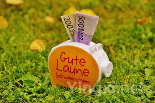 葡萄酒剩余怎么办？教你几招轻松保存与利用！