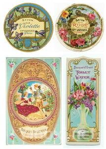 2B红酒风云再起:大区Barolo与Bourgogne的味觉争霸