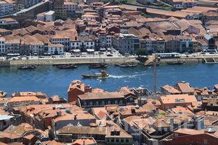 卢瓦尔河葡萄酒产区：风味与历史的交融之旅