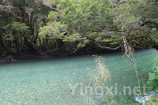 河流与葡萄酒：一场自然的邂逅之旅
