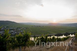 探寻河流如何塑造葡萄酒产区的传奇