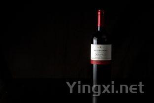 葡萄酒进口揭秘:原瓶、原装、原酒与原桶差异