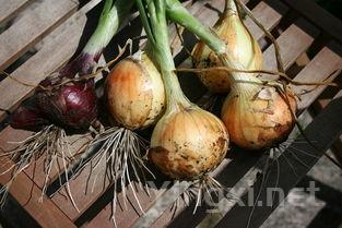 进口葡萄酒市场迷雾重重：标价混杂、真伪难辨