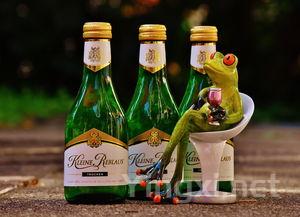 甜葡萄酒与发胖：真的有关系吗？