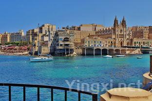 阿根廷特浓情葡萄酒:醇香醉人,特色尽显