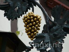 手工采摘VS机械采摘：酿酒葡萄的最佳选择？