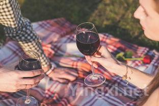 葡萄酒里的情感奥秘：爱情与基情共舞