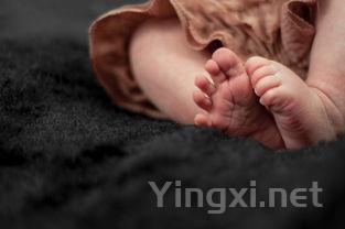 春节将至,泸州老窖奢侈酒品引领高端市场